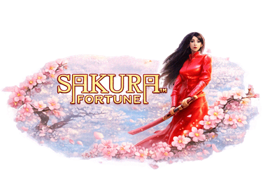TikiTaka Sakura Fortune automat